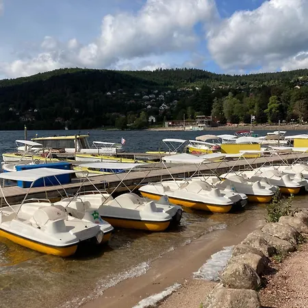 L'ecureuil Gerardmer