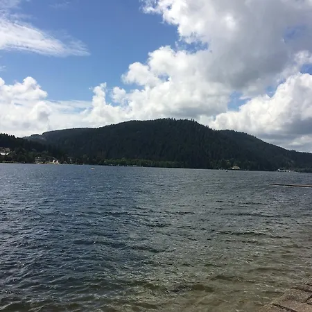 L'ecureuil * Gérardmer